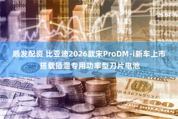 顺发配资 比亚迪2026款宋ProDM-i新车上市 搭载插混专用功率型刀片电池