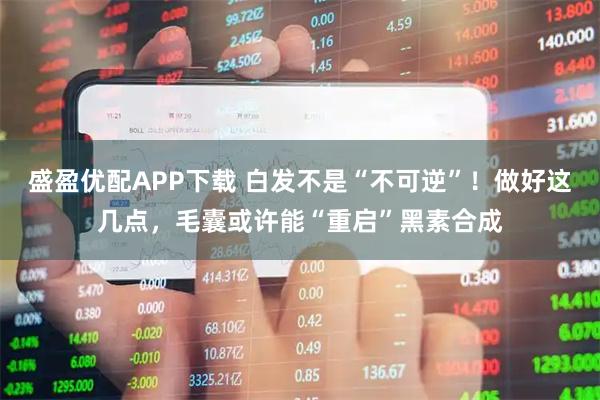 盛盈优配APP下载 白发不是“不可逆”!做好这几点,毛囊或许能“重启”黑素合成